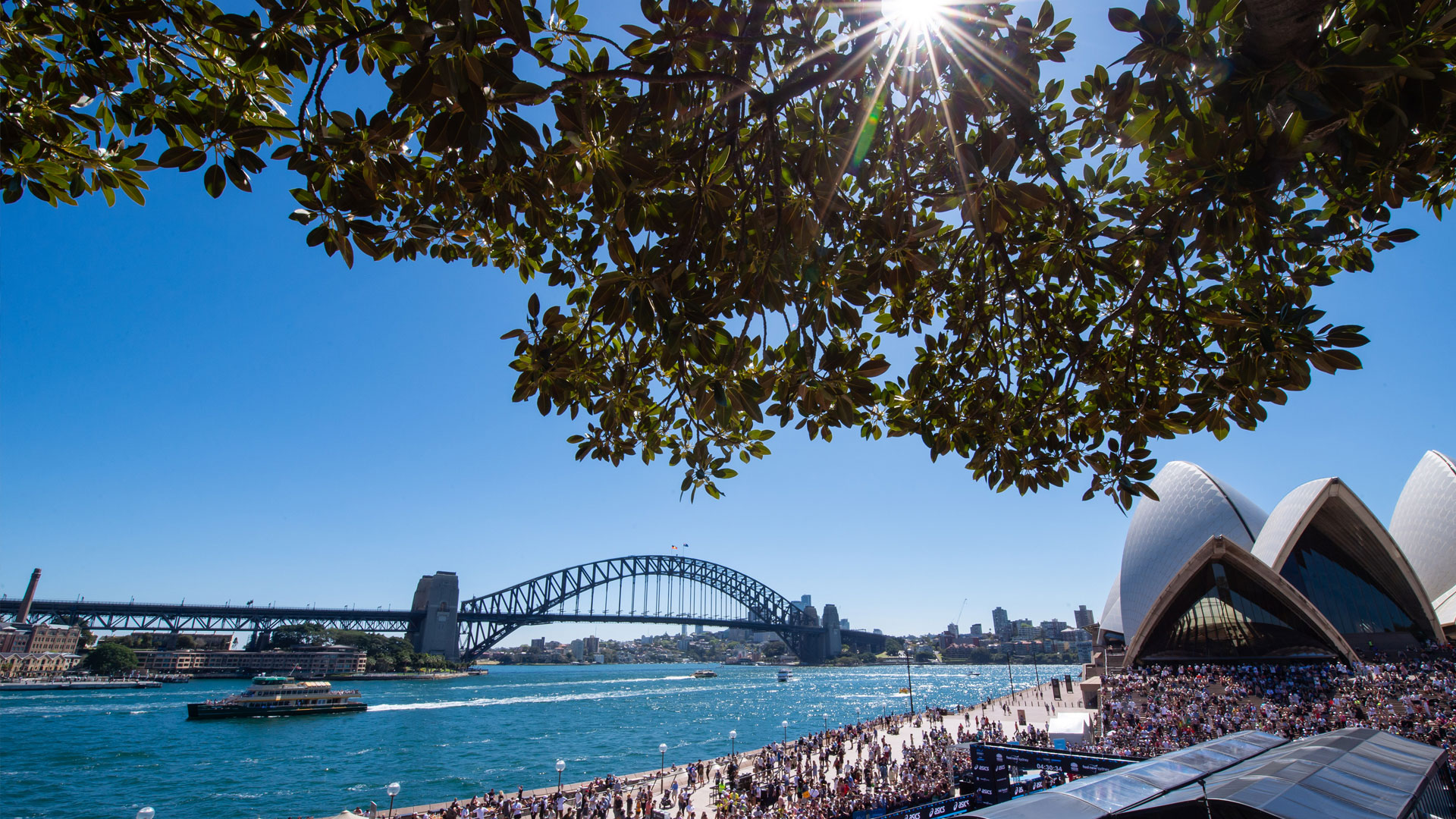 A view of the sydney harbour bridge and the sydney opera house