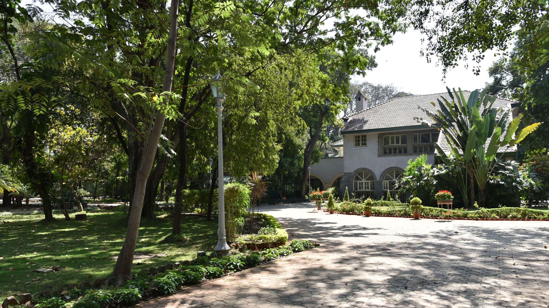 The TMTC campus with its canopy of trees is a birding hotspot