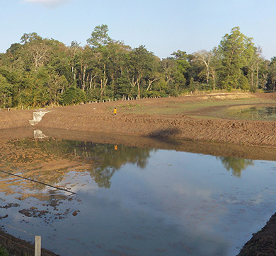 A Recharge Plan for Lakes